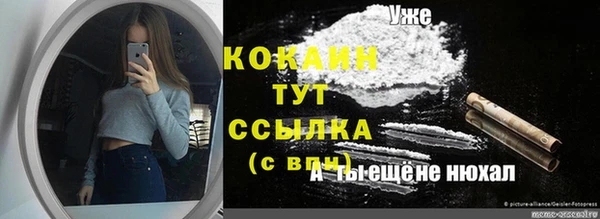 СК Алзамай