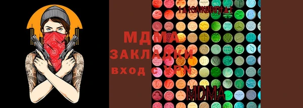 молекула духа Алексин