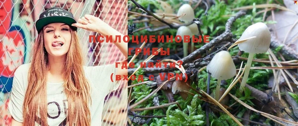 круглые Алексеевка