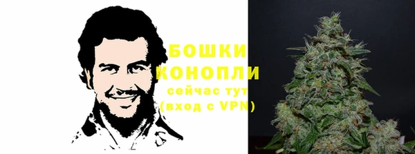 молекула духа Алексин